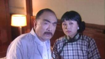 相煎上海滩 电视剧,风云变幻的滩涂传奇